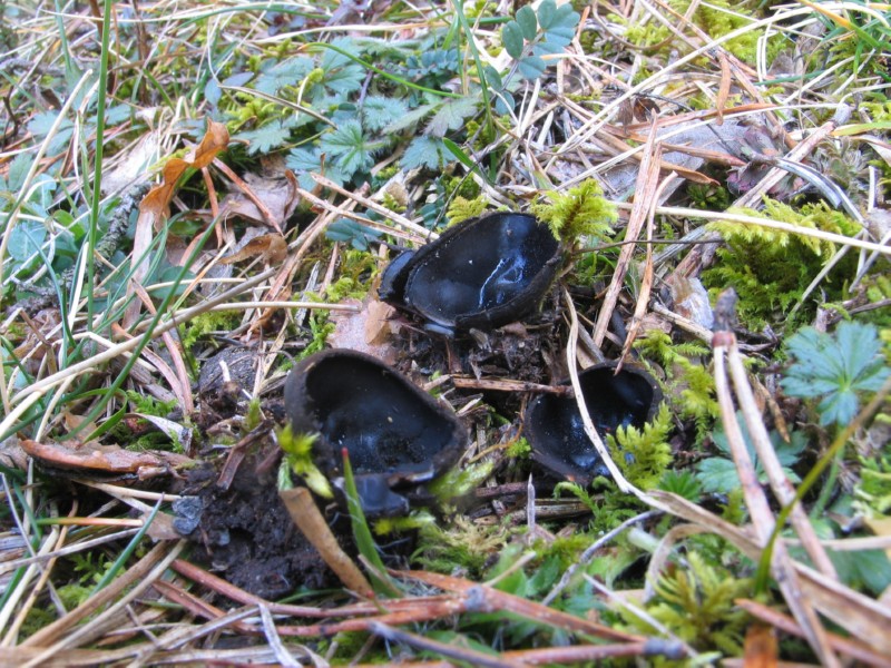 Qualcosa si muove...